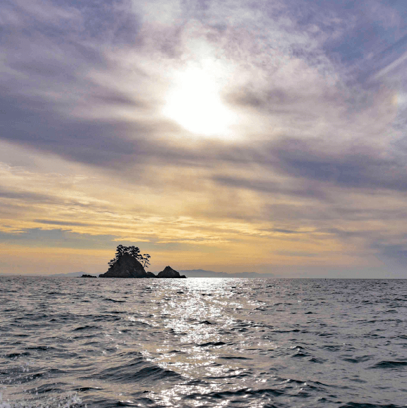 朋輩牡蠣イメージ