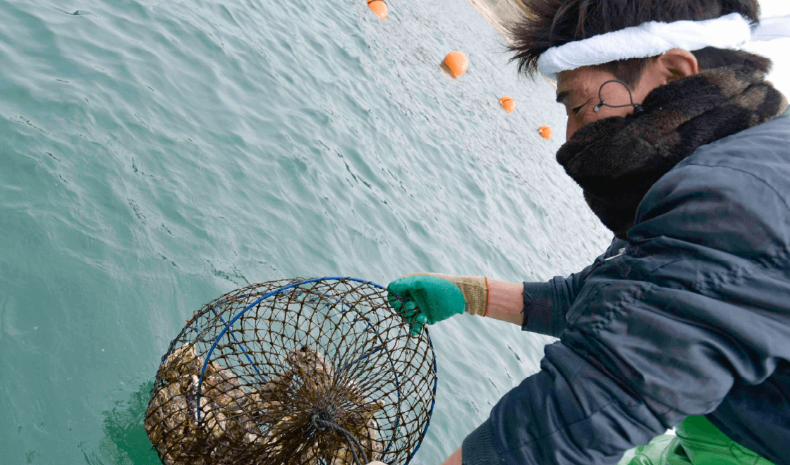 朋輩牡蠣-吉戸 雅志さん